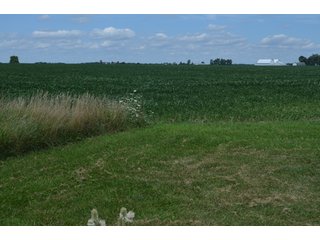 Property photo 43 - LAND AUCTION - 151+/- ACRES OFFERED IN 3 TRACTS - FULTON COUNTY, OHIO
