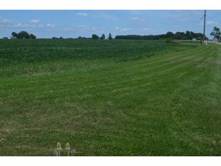 Property photo 42 - LAND AUCTION - 151+/- ACRES OFFERED IN 3 TRACTS - FULTON COUNTY, OHIO