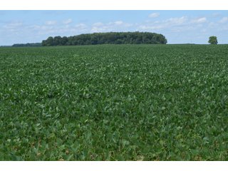 Property photo 40 - LAND AUCTION - 151+/- ACRES OFFERED IN 3 TRACTS - FULTON COUNTY, OHIO