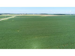 Property photo 1 - LAND AUCTION - 151+/- ACRES OFFERED IN 3 TRACTS - FULTON COUNTY, OHIO