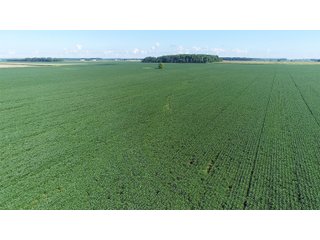 Property photo 2 - LAND AUCTION - 151+/- ACRES OFFERED IN 3 TRACTS - FULTON COUNTY, OHIO