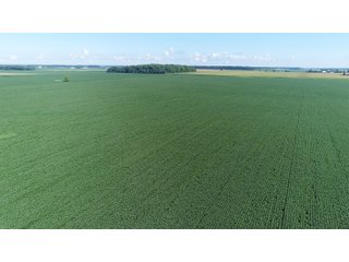 Property photo 3 - LAND AUCTION - 151+/- ACRES OFFERED IN 3 TRACTS - FULTON COUNTY, OHIO