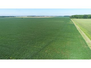 Property photo 7 - LAND AUCTION - 151+/- ACRES OFFERED IN 3 TRACTS - FULTON COUNTY, OHIO