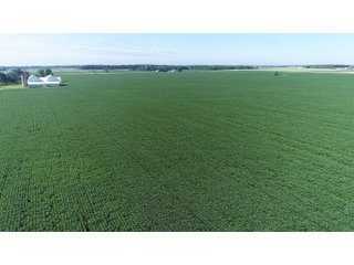 Property photo 8 - LAND AUCTION - 151+/- ACRES OFFERED IN 3 TRACTS - FULTON COUNTY, OHIO