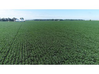 Property photo 9 - LAND AUCTION - 151+/- ACRES OFFERED IN 3 TRACTS - FULTON COUNTY, OHIO