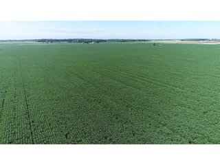 Property photo 10 - LAND AUCTION - 151+/- ACRES OFFERED IN 3 TRACTS - FULTON COUNTY, OHIO