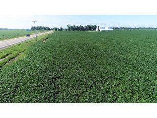 Property photo 11 - LAND AUCTION - 151+/- ACRES OFFERED IN 3 TRACTS - FULTON COUNTY, OHIO