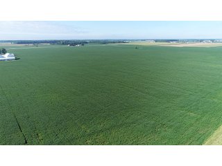 Property photo 13 - LAND AUCTION - 151+/- ACRES OFFERED IN 3 TRACTS - FULTON COUNTY, OHIO