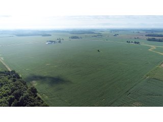 Property photo 14 - LAND AUCTION - 151+/- ACRES OFFERED IN 3 TRACTS - FULTON COUNTY, OHIO