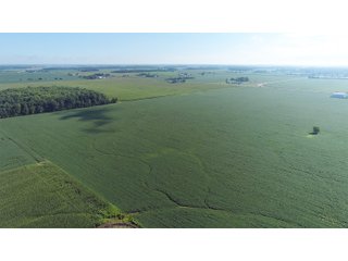 Property photo 15 - LAND AUCTION - 151+/- ACRES OFFERED IN 3 TRACTS - FULTON COUNTY, OHIO