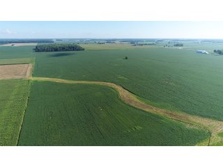Property photo 17 - LAND AUCTION - 151+/- ACRES OFFERED IN 3 TRACTS - FULTON COUNTY, OHIO