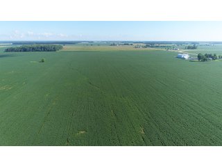 Property photo 18 - LAND AUCTION - 151+/- ACRES OFFERED IN 3 TRACTS - FULTON COUNTY, OHIO