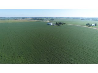 Property photo 19 - LAND AUCTION - 151+/- ACRES OFFERED IN 3 TRACTS - FULTON COUNTY, OHIO