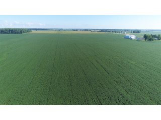Property photo 20 - LAND AUCTION - 151+/- ACRES OFFERED IN 3 TRACTS - FULTON COUNTY, OHIO