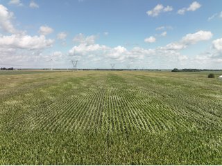 Property photo 4 - LAND AUCTION - 112+/- ACRES OFFERED IN 2 TRACTS IN WHITE COUNTY, INDIANA