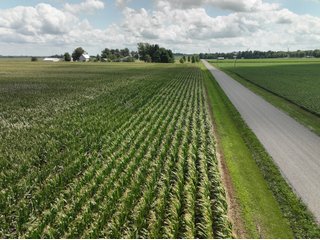 Property photo 5 - LAND AUCTION - 112+/- ACRES OFFERED IN 2 TRACTS IN WHITE COUNTY, INDIANA