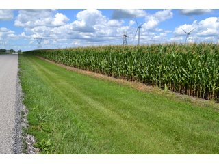 Property photo 16 - LAND AUCTION - 112+/- ACRES OFFERED IN 2 TRACTS IN WHITE COUNTY, INDIANA