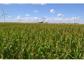 Property photo 6 - LAND AUCTION - 112+/- ACRES OFFERED IN 2 TRACTS IN WHITE COUNTY, INDIANA