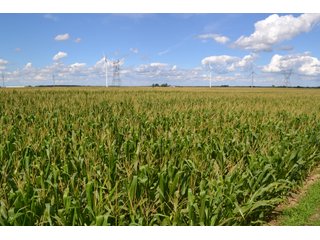 Property photo 7 - LAND AUCTION - 112+/- ACRES OFFERED IN 2 TRACTS IN WHITE COUNTY, INDIANA