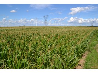 Property photo 8 - LAND AUCTION - 112+/- ACRES OFFERED IN 2 TRACTS IN WHITE COUNTY, INDIANA