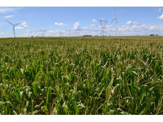Property photo 10 - LAND AUCTION - 112+/- ACRES OFFERED IN 2 TRACTS IN WHITE COUNTY, INDIANA