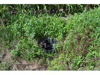 Property photo 11 - LAND AUCTION - 112+/- ACRES OFFERED IN 2 TRACTS IN WHITE COUNTY, INDIANA