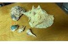 Property photo 103 - TIMED ONLINE ONLY PERSONAL PROPERTY AUCTION IN ALLEN COUNTY, INDIANA