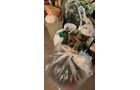 Property photo 113 - TIMED ONLINE ONLY PERSONAL PROPERTY AUCTION IN ALLEN COUNTY, INDIANA