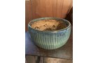 Property photo 177 - TIMED ONLINE ONLY PERSONAL PROPERTY AUCTION IN ALLEN COUNTY, INDIANA