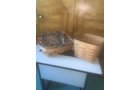 Property photo 226 - TIMED ONLINE ONLY PERSONAL PROPERTY AUCTION IN ALLEN COUNTY, INDIANA