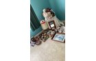 Property photo 159 - TIMED ONLINE ONLY PERSONAL PROPERTY AUCTION IN EAST ALLEN COUNTY, INDIANA