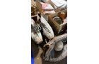 Property photo 173 - TIMED ONLINE ONLY PERSONAL PROPERTY AUCTION IN EAST ALLEN COUNTY, INDIANA