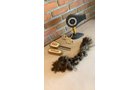 Property photo 199 - TIMED ONLINE ONLY PERSONAL PROPERTY AUCTION IN EAST ALLEN COUNTY, INDIANA