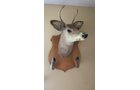 Property photo 251 - TIMED ONLINE ONLY PERSONAL PROPERTY AUCTION IN EAST ALLEN COUNTY, INDIANA