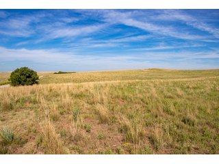 Property photo 101 - LAND AUCTION 2,427+/- ACRES OFFERED IN 14 TRACTS IN CUSTER COUNTY, OKLAHOMA
