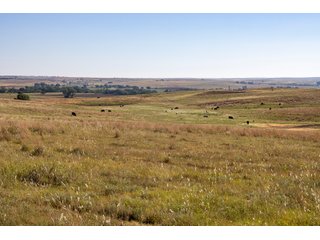 Property photo 102 - LAND AUCTION 2,427+/- ACRES OFFERED IN 14 TRACTS IN CUSTER COUNTY, OKLAHOMA