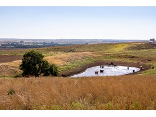 Property photo 106 - LAND AUCTION 2,427+/- ACRES OFFERED IN 14 TRACTS IN CUSTER COUNTY, OKLAHOMA