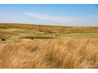 Property photo 107 - LAND AUCTION 2,427+/- ACRES OFFERED IN 14 TRACTS IN CUSTER COUNTY, OKLAHOMA