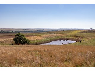 Property photo 108 - LAND AUCTION 2,427+/- ACRES OFFERED IN 14 TRACTS IN CUSTER COUNTY, OKLAHOMA