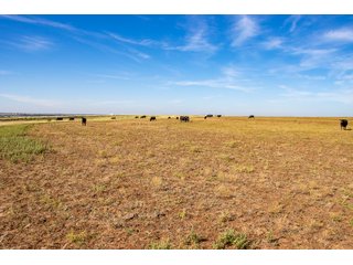 Property photo 109 - LAND AUCTION 2,427+/- ACRES OFFERED IN 14 TRACTS IN CUSTER COUNTY, OKLAHOMA
