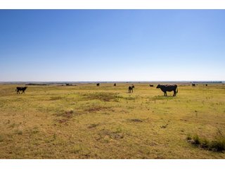 Property photo 119 - LAND AUCTION 2,427+/- ACRES OFFERED IN 14 TRACTS IN CUSTER COUNTY, OKLAHOMA