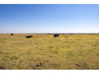 Property photo 120 - LAND AUCTION 2,427+/- ACRES OFFERED IN 14 TRACTS IN CUSTER COUNTY, OKLAHOMA