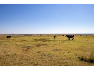 Property photo 121 - LAND AUCTION 2,427+/- ACRES OFFERED IN 14 TRACTS IN CUSTER COUNTY, OKLAHOMA