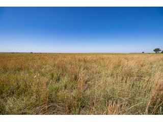 Property photo 123 - LAND AUCTION 2,427+/- ACRES OFFERED IN 14 TRACTS IN CUSTER COUNTY, OKLAHOMA