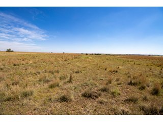 Property photo 126 - LAND AUCTION 2,427+/- ACRES OFFERED IN 14 TRACTS IN CUSTER COUNTY, OKLAHOMA
