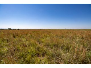 Property photo 127 - LAND AUCTION 2,427+/- ACRES OFFERED IN 14 TRACTS IN CUSTER COUNTY, OKLAHOMA