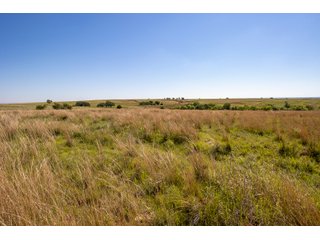 Property photo 134 - LAND AUCTION 2,427+/- ACRES OFFERED IN 14 TRACTS IN CUSTER COUNTY, OKLAHOMA