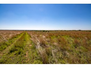 Property photo 136 - LAND AUCTION 2,427+/- ACRES OFFERED IN 14 TRACTS IN CUSTER COUNTY, OKLAHOMA