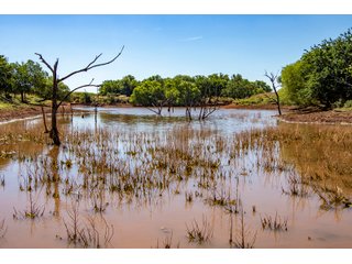 Property photo 138 - LAND AUCTION 2,427+/- ACRES OFFERED IN 14 TRACTS IN CUSTER COUNTY, OKLAHOMA