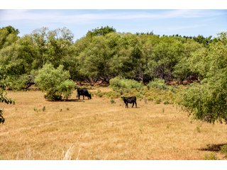 Property photo 131 - LAND AUCTION 2,427+/- ACRES OFFERED IN 14 TRACTS IN CUSTER COUNTY, OKLAHOMA